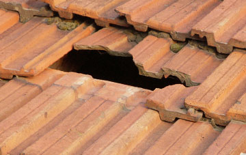 roof repair Charlemont